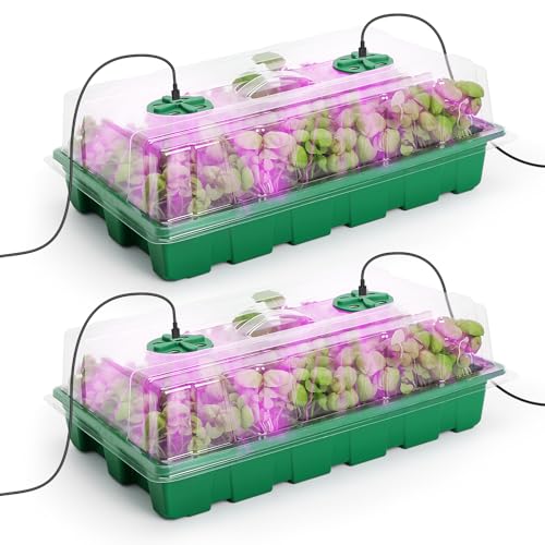 2 Pack Seed Starter Tray with Grow Light (2 Count)