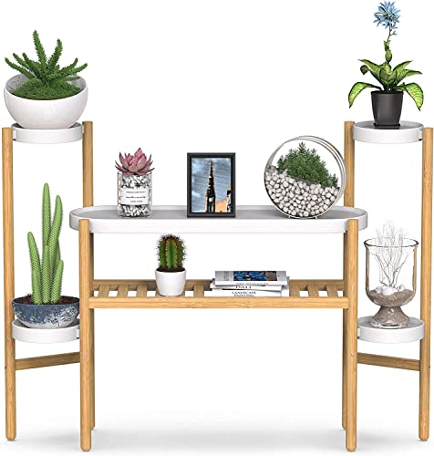 Tiered Plant Stand Indoor
