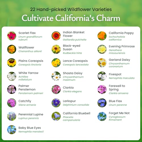 California Wildflower Seed Mix (54000 Count)