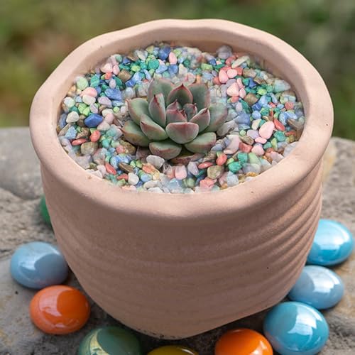 0.88 LB Colored Pea Gravel