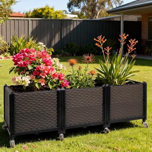 Raised Plant Box with Wheels 47.2"x15.7"x16.1"