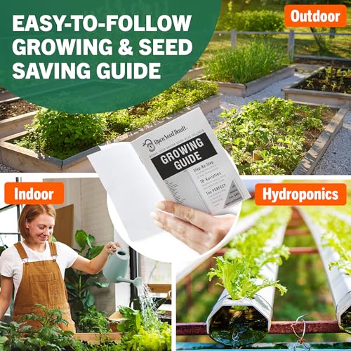 Vegetable & Fruit Seeds (32 Count)