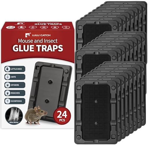 Mouse & Insect Traps 24 Pack (24 Pack / Small Mouse Traps)