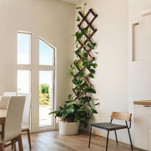 2Pcs Expandable Garden Trellis (2 Count)