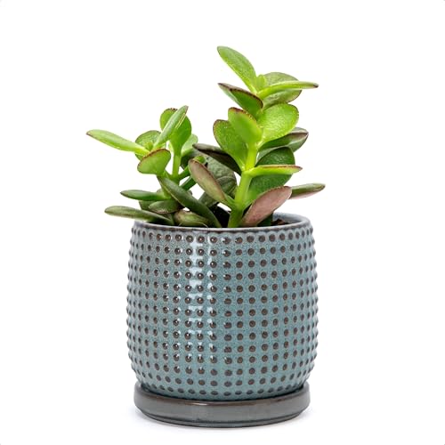 Beaded Ceramic Pot with Saucer (4.3 Inch / Graphite Blue)