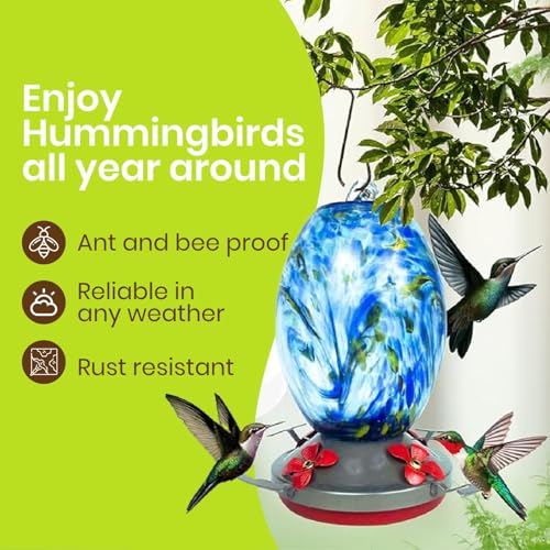 Glass Hummingbird Feeder for Outdoors