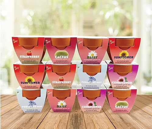 Seeds Assorted Flower Grow Kit 12 (12 Count)