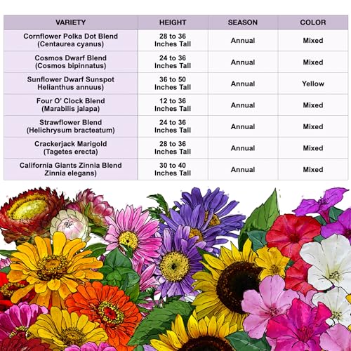 Wildflower Seeds Large Blooms Mix 10 Bulk Packs (10 Count)