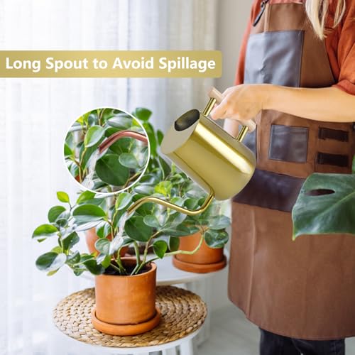 Watering Can Indoor Plants (Gold)
