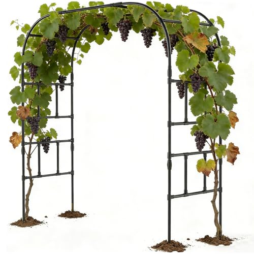 87" H x 79" L Garden Arch Trellis (87"H x 79"L x 16"W)