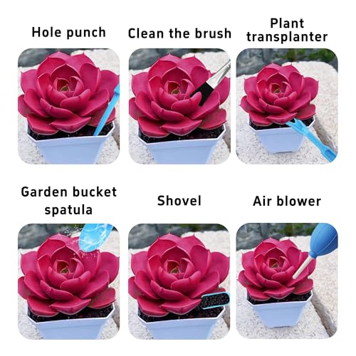6Pcs Mini Succulent Tools Set (6 Count)