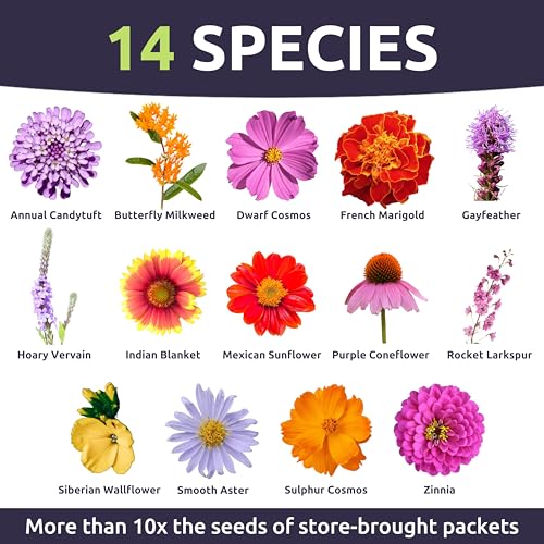 Monarch Butterfly Rescue Mix (4 Ounce)