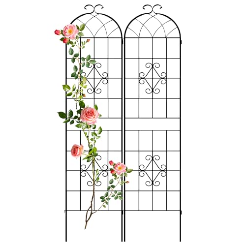 78.4 x 40in Rustic Iron Arch Decoration Garden Trellis with Black Metal Coating (Black / 78.4"H x 40"W)