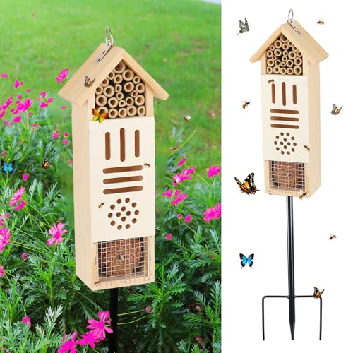 Wooden Insect House
