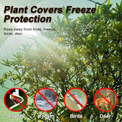 59″*59″*60″ Large Winter Plant Warm Covers with Air Hole for Raised Bed