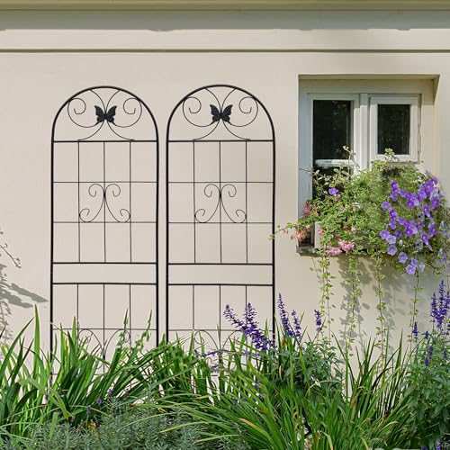 2 Pack Garden Trellises with Black Metal Coating