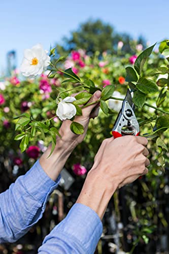 F 14 Pruning Shears