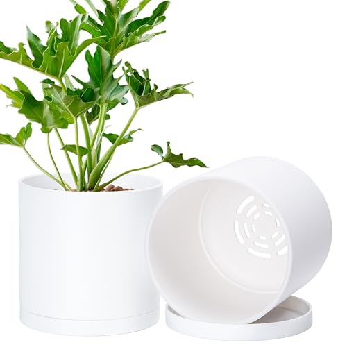 2 Pack White Plastic Planters with Saucers (6")