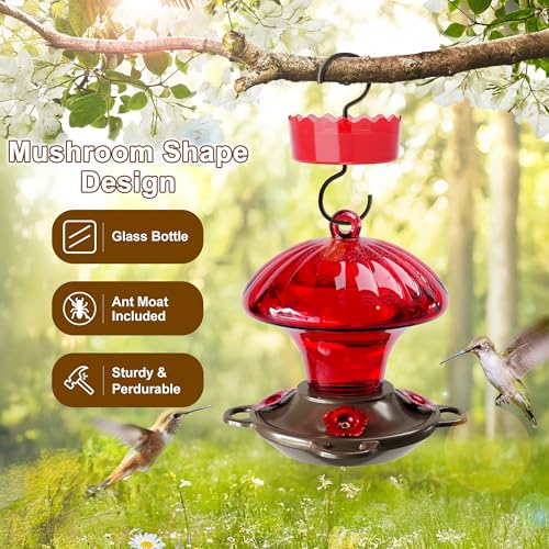 Glass Hummingbird Feeders for Outdoors Hanging