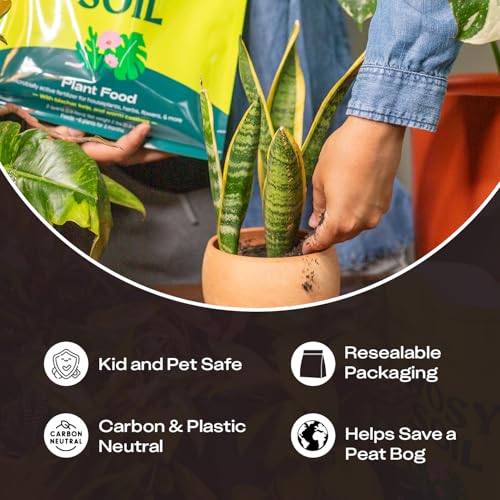 Plant Food Organic Fertilizer for Indoor Plants (Plant Food / 4 Quarts)