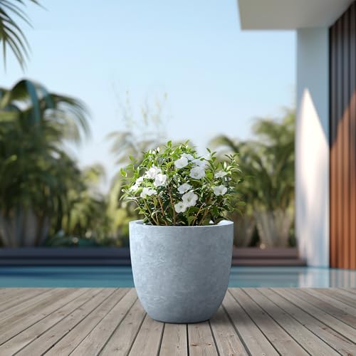 Large Round Bowl Blue Gray Concrete Planter 18" Dia (Gray / 18"d)
