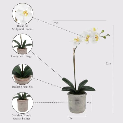 Faux Phalaenopsis White Orchid Plant (22" White Phale Orchid (Set-of-2))
