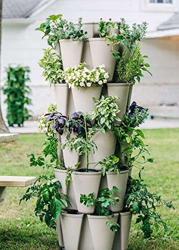 Patented Large 5 Tier Vertical Garden Planter with Patented Internal Watering System Great for Growing a Variety of Strawberries