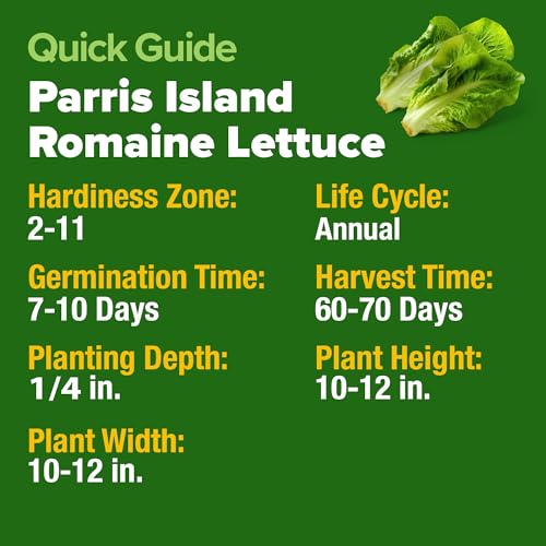 Parris Island Romaine Lettuce Seeds (2 Count)