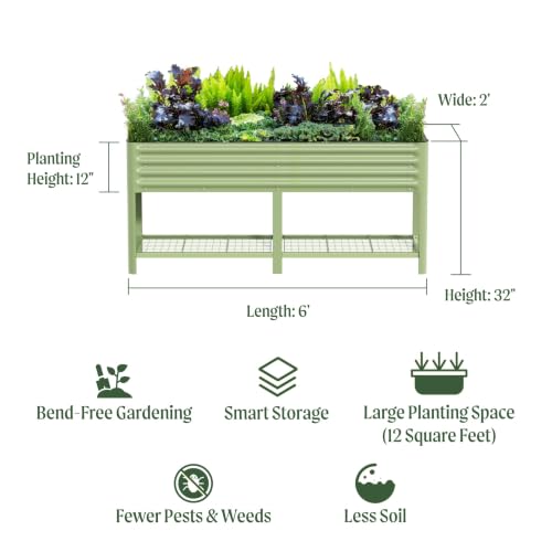 Elevated Raised Garden Bed
