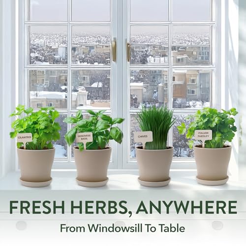 4 Herb Indoor Garden Kit
