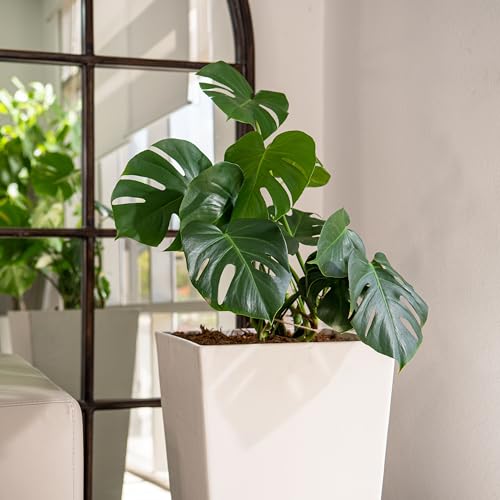 30 Inch Tall Tapered Indoor and Outdoor (White / 30" H)