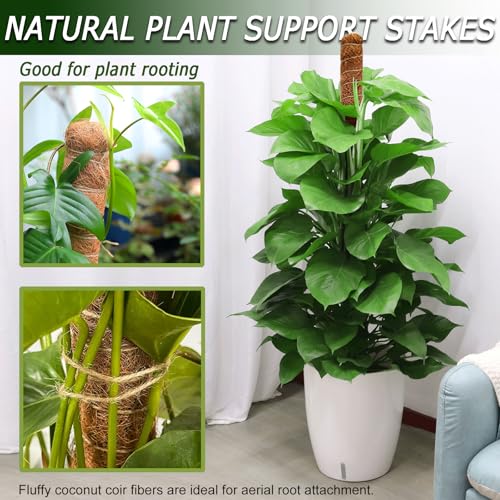 2 Pack 48'' Bendable Moss Pole for Monstera & Pothos (2 × 48 Inch)