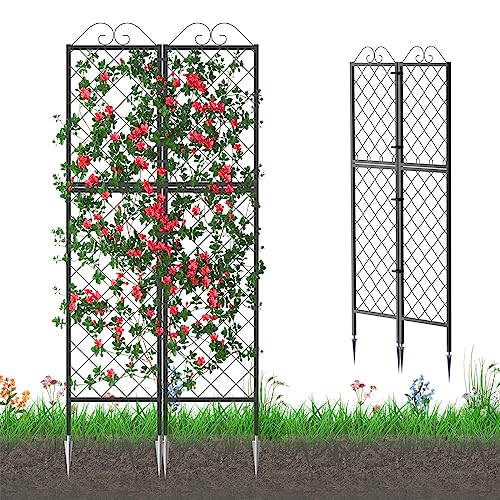 2 Pack Metal Garden Trellises for Climbing Plants