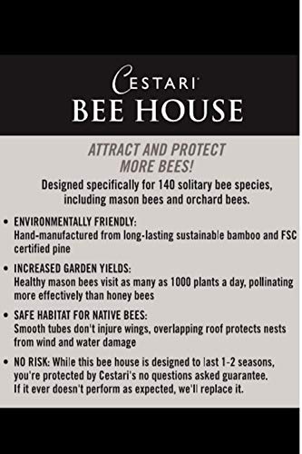 Mason Bee Houses and Supplies (Forest Green)
