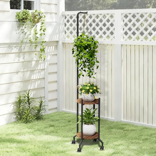Plant Stand Indoor