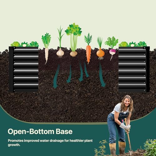 Raised Garden Bed 6x3x2ft