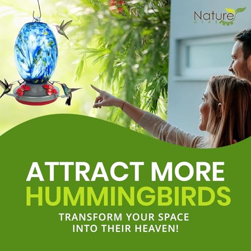 Glass Hummingbird Feeder for Outdoors