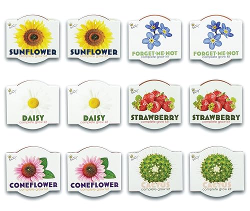 Seeds Assorted Flower Grow Kit 12 (12 Count)