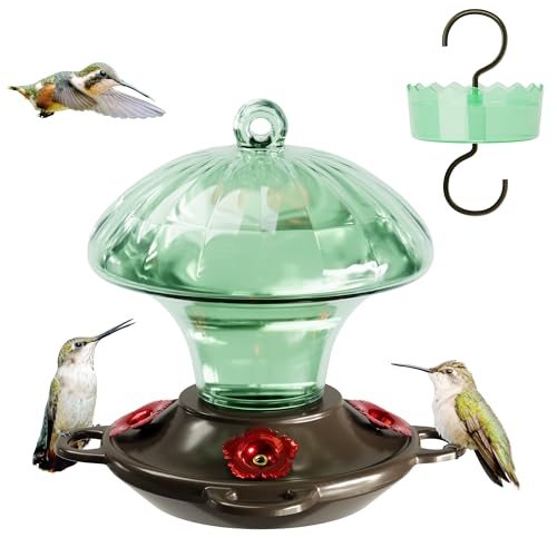 Glass Hummingbird Feeders for Outdoors Hanging