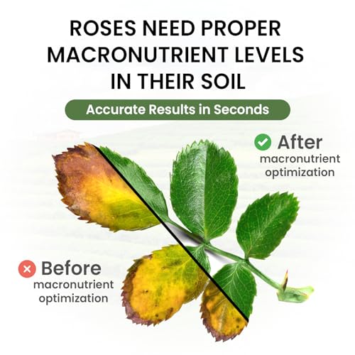 Super Soil Complete Garden Soil Test Kit