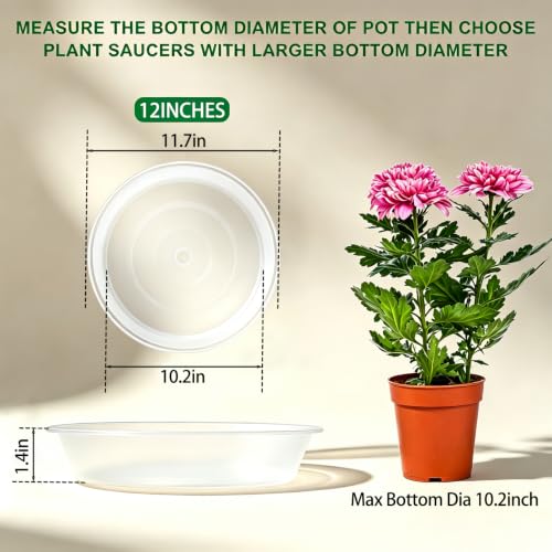 3 Pack Plant Saucer Heavy Large Planter Durable Thicker Plastic Plant Trays for Indoors and Outdoor (Transparent / 12 Inch)