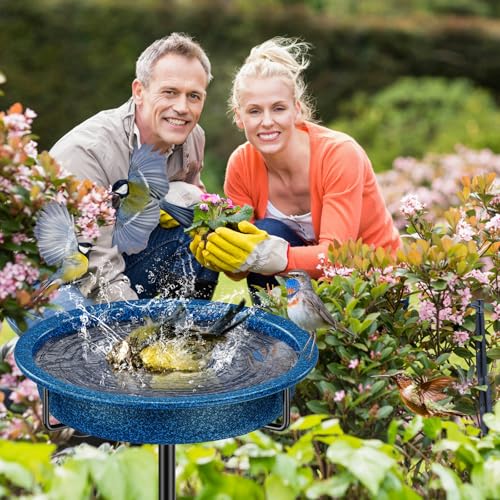 Bird Baths for Outside