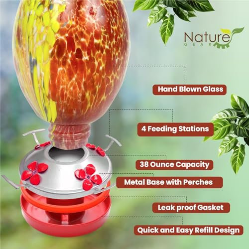 Glass Hummingbird Feeder for Outdoors