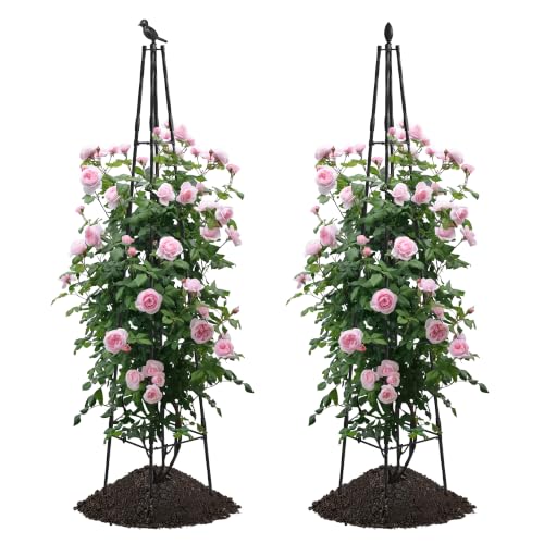 Garden Trellis