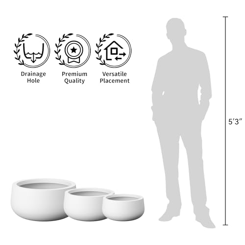 Small Round Bowl White Concrete Planter 11" Dia (White / 11.8"w)