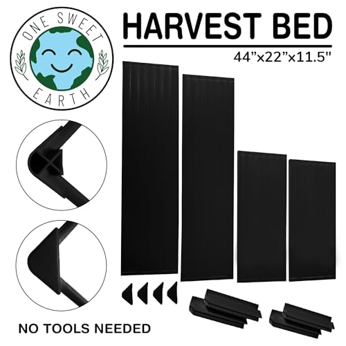 Raised Garden Bed