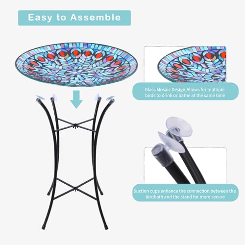 Glass Bird Bath
