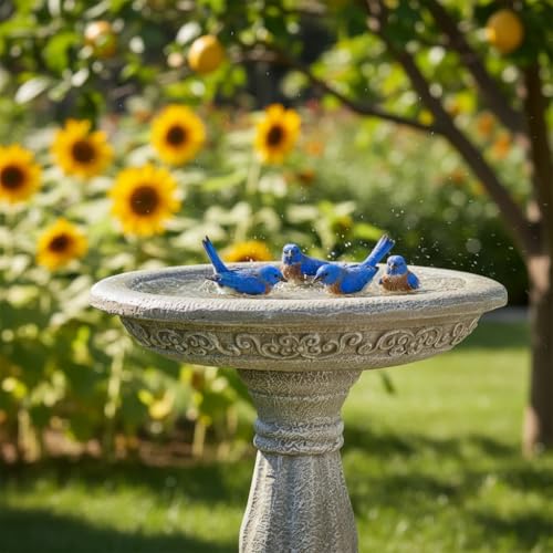 23.8 Inch High Concrete Bird Bath with Carved Pedestal