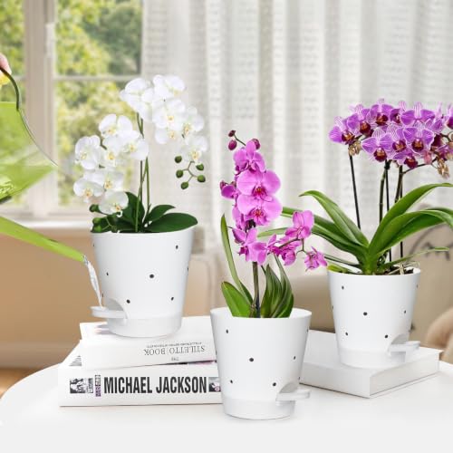 Orchid Pots with Holes (White-5pack)