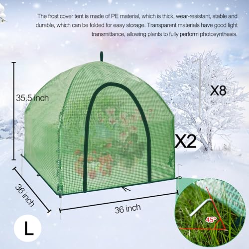 36″*36″*35.5″ Mini Greenhouse Winter Plant Warm Covers (2 Count)